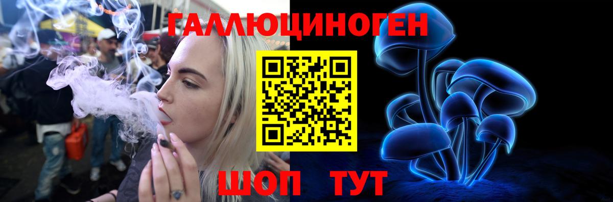 Красногорск  Псилоцибиновые грибы прущие грибы  Вход с VPN  Галлюциногенные грибы MAGIC MUSHROOMS 